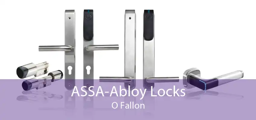 ASSA-Abloy Locks O Fallon
