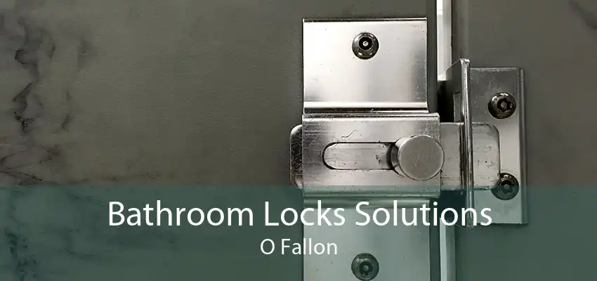 Bathroom Locks Solutions O Fallon