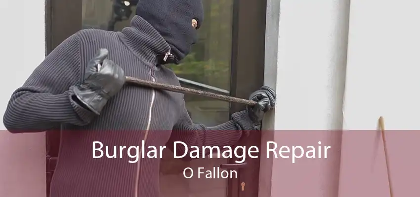 Burglar Damage Repair O Fallon