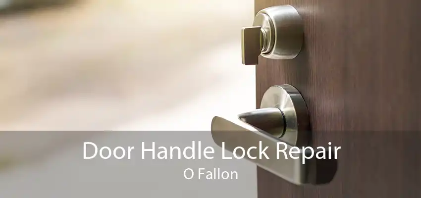 Door Handle Lock Repair O Fallon