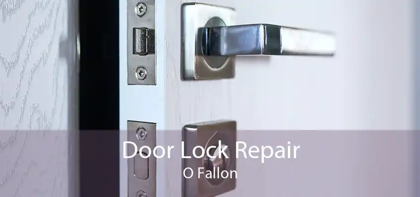 Door Lock Repair O Fallon