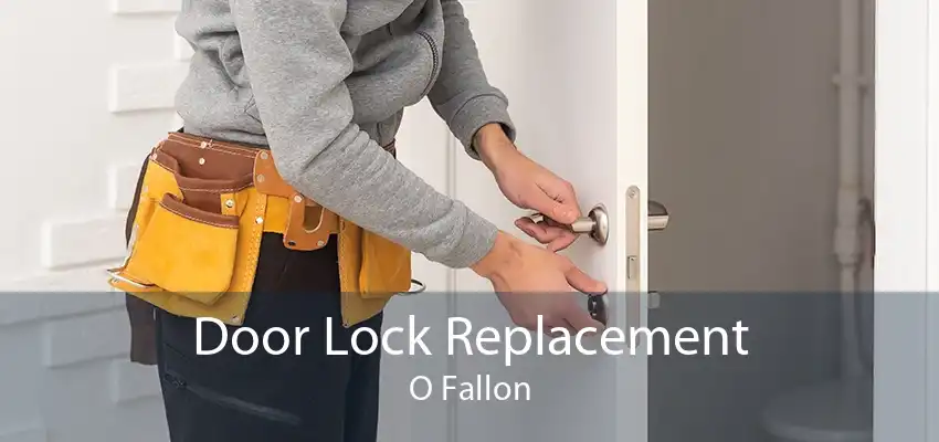 Door Lock Replacement O Fallon