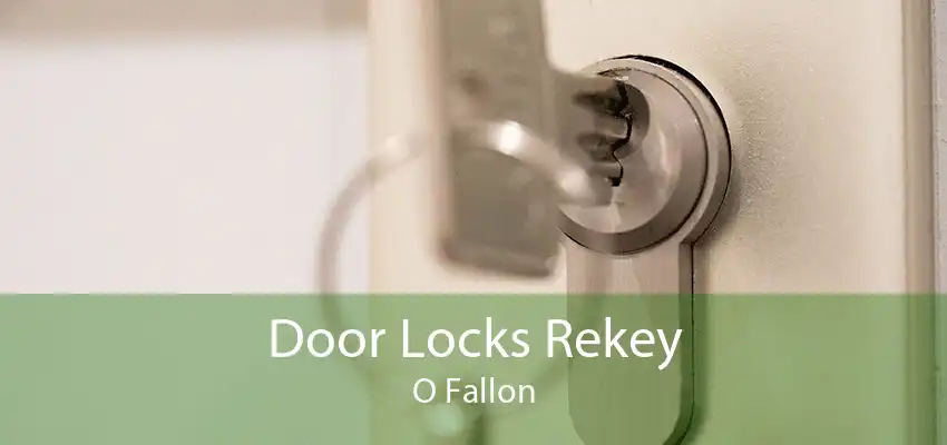 Door Locks Rekey O Fallon