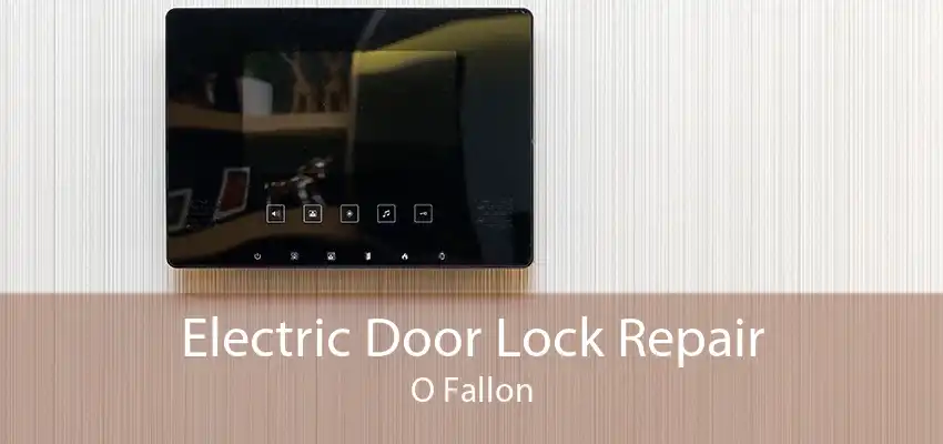 Electric Door Lock Repair O Fallon