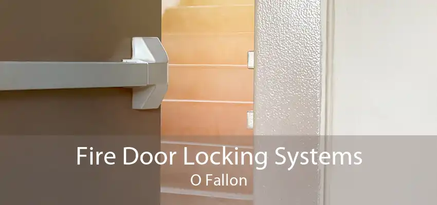 Fire Door Locking Systems O Fallon