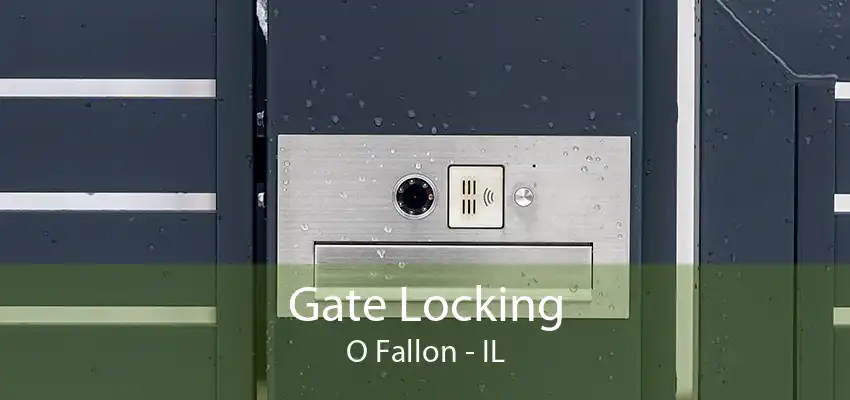 Gate Locking O Fallon - IL