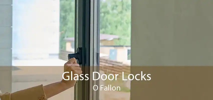 Glass Door Locks O Fallon