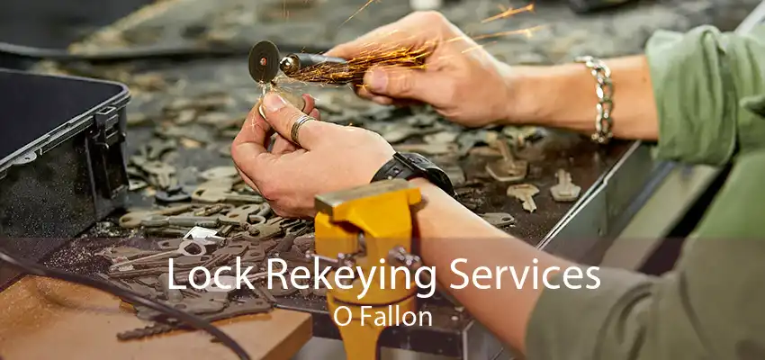 Lock Rekeying Services O Fallon