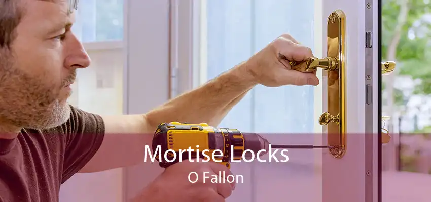 Mortise Locks O Fallon