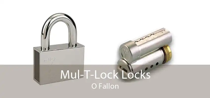Mul-T-Lock Locks O Fallon