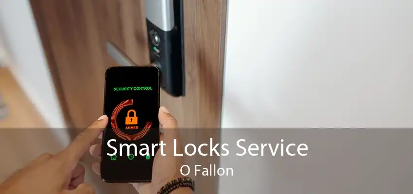 Smart Locks Service O Fallon