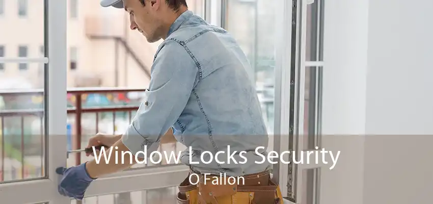 Window Locks Security O Fallon